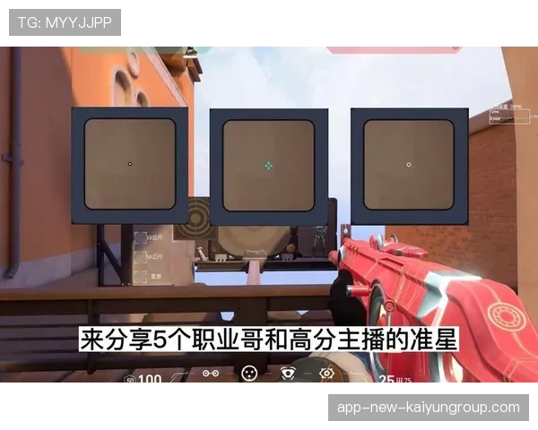 职业哥的准星为什么那么小